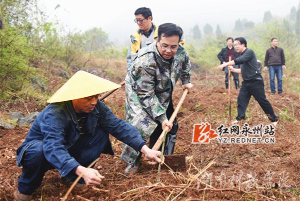 牛博·电子（中国）官方网站党委书记陈弘与潮水铺村村支书一同种下金槐树苗