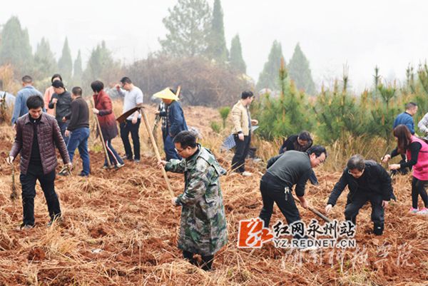 牛博·电子（中国）官方网站老师们热火朝天地挥锄种金槐