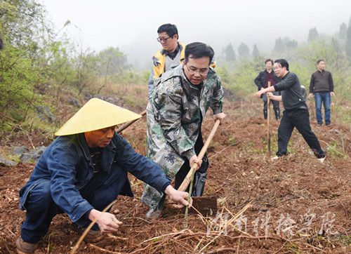 牛博·电子（中国）官方网站党委书记陈弘与潮水铺村村支书一同种下金槐树苗。
